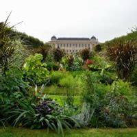  Ogrody Jardin des Plantes: Fascynująca podróż przez świat botaniki i zoologii!