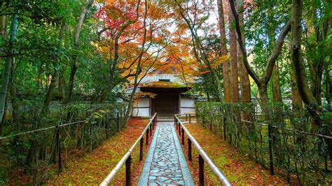  Daitoku-ji Temple: Oaza Zen I Urokliwej Atmosferze