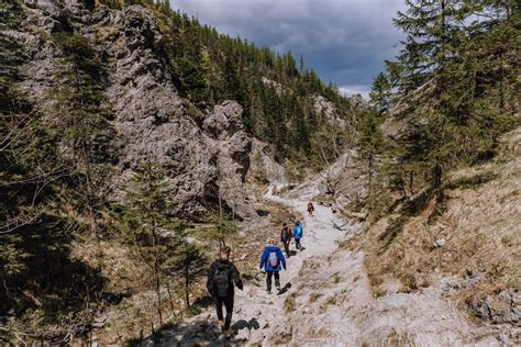 Dolina Białego Łota - Urokliwe Scenerie i Zwierzęta w Naturalnym Środowisku!