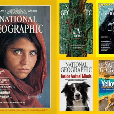 How Did the National Geographic Video Use Media: A Journey Through Visual Storytelling and Beyond