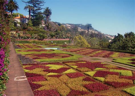 Jardim Botânico da Serra do Mar: Zabytkowe drzewa i cudowne widoki na Atlantyk!