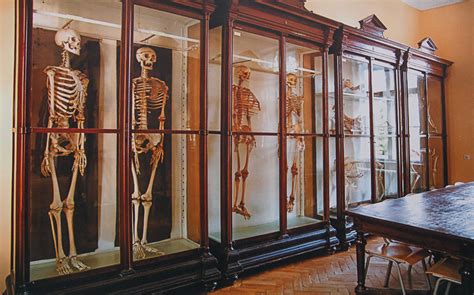 Muzeum Anatomiczne w Kałudze – niesamowite eksponaty medyczne i zagadkowa historia!