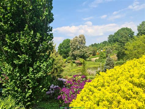 Ogród Botaniczny w Suwon - Zachwycająca oaza zieleni i fascynujące rzeźby z kamienia!