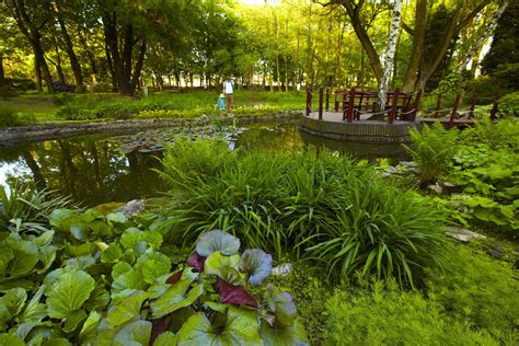 Ogrod Botaniczny w Baicheng: Raj dla Oczu i Inspirująca Oaza Spokoju!