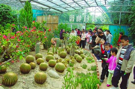  Park Maoming – zielony raj z fascynującymi rzeźbami!