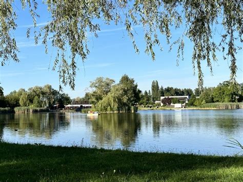 Parque do Sabiá: Oaza spokoju i zieleni w sercu miasta!