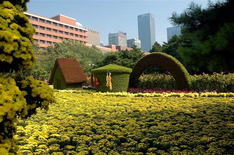 Shenyang Zhongshan Park:  History Meets Tranquility Amidst Blossoming Flowers!