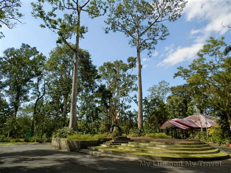  Ogród Botaniczny Zhangzhou - Raj dla miłośników przyrody i miejsce idealne na spokojną refleksję!